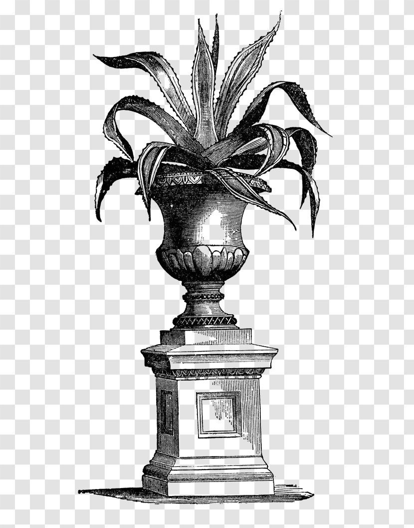 Victorian Era Urn French Formal Garden Houseplant - Sunroom - Pot Plant Transparent PNG
