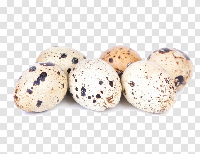 Quail Eggs Salted Duck Egg - Chicken - Creative Transparent PNG