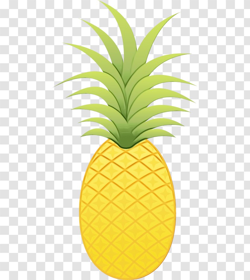 Food Icon Background - Pineapple - Seedless Fruit Flowering Plant Transparent PNG
