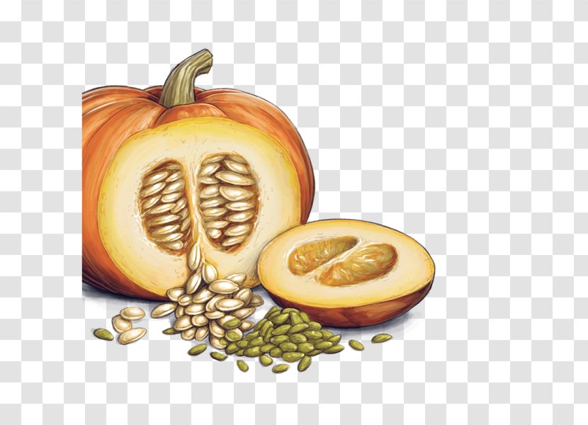 Pumpkin Bread Squash Soup Pie Seed - Winter - Seeds Transparent PNG