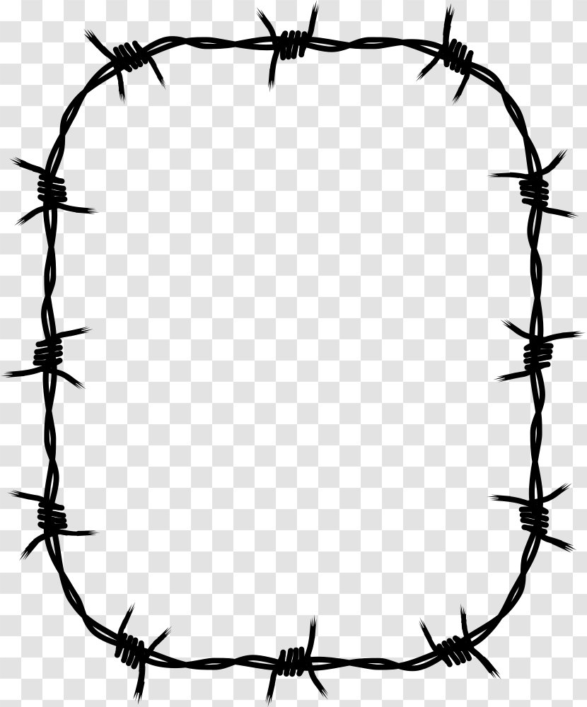 transparent barbed wire