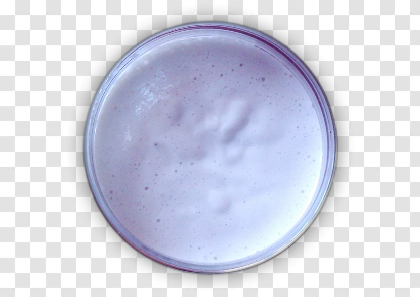 Tableware - Violet - Grasse Transparent PNG