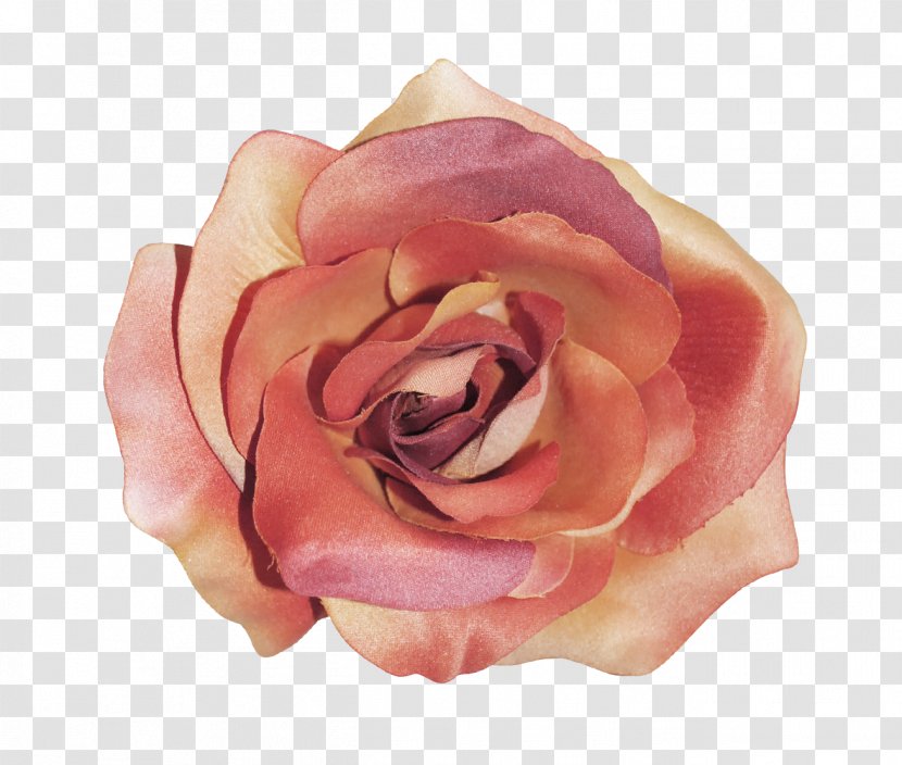 Garden Roses Poster Flower - Bouquet - Image Of Flowers Abstract Picture Transparent PNG