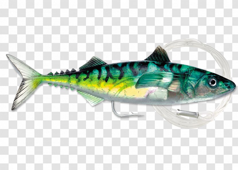 Oily Fish Mackerel Herring Sardine - Plug Transparent PNG