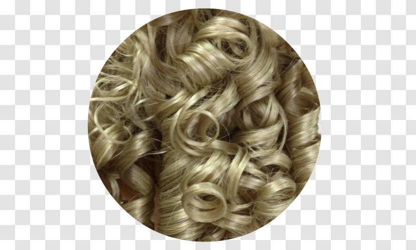 Blond Hair Coloring Long 02PD - Hairstyle - Circolo Del Partito Democratico Di MilanoHair Transparent PNG