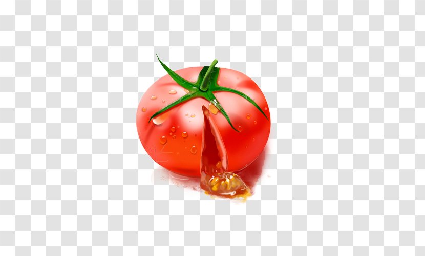 Plum Tomato Download Transparent PNG