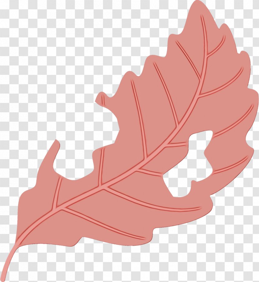 Leaf Red Tree Pink Plant - Woody Transparent PNG