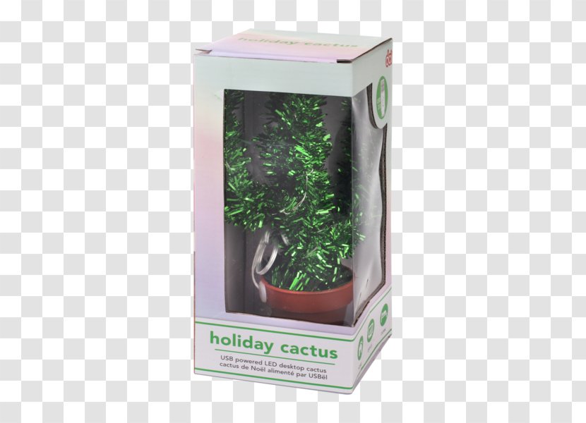 Schlumbergera Cactaceae Christmas Holiday Gift - Road Transparent PNG