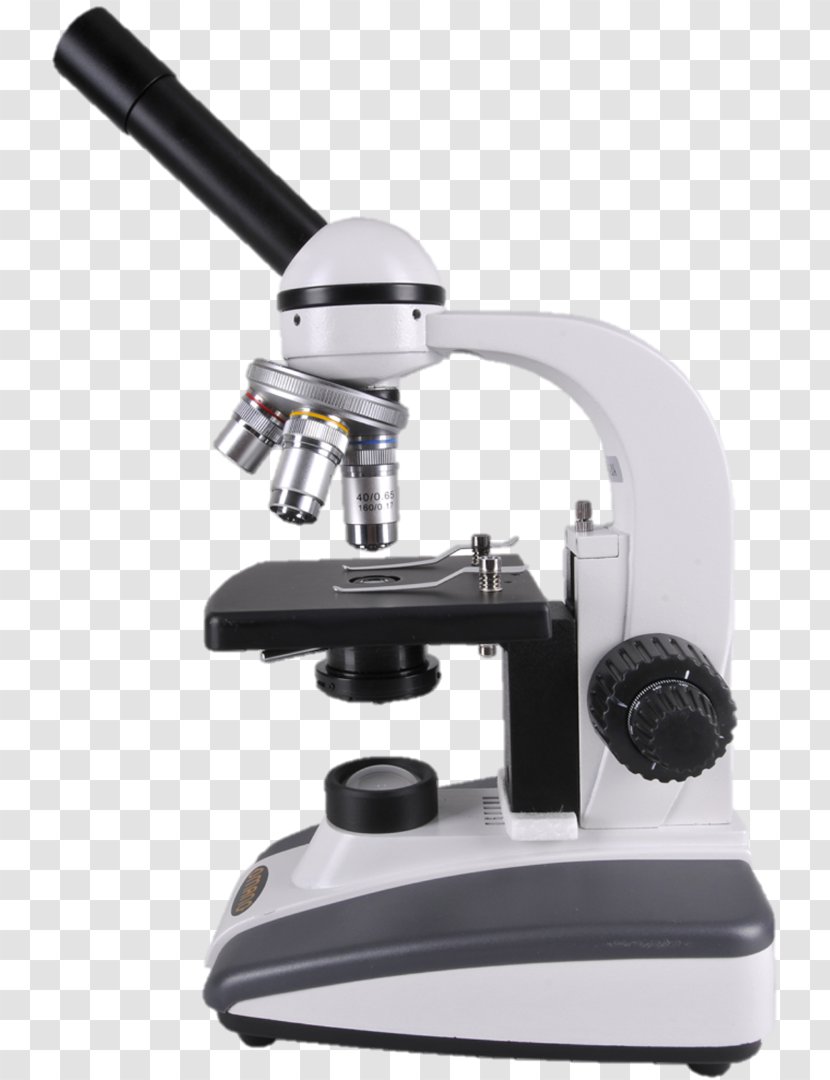 Optical Microscope Magnification Light Digital - Convex Transparent PNG