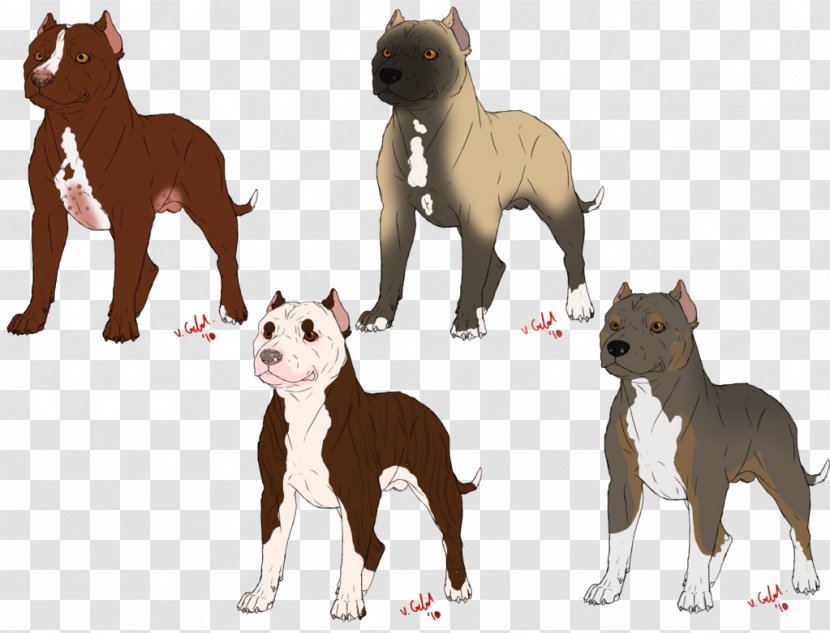 American Bully Pit Bull Terrier Bulldog - Dog Breed Group - Pitbull Transparent PNG