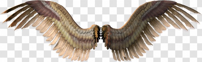 Wing Clip Art - Bird - Devil Wings Transparent PNG