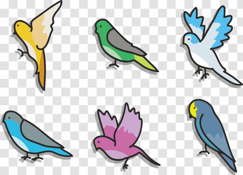 Budgerigar Lovebird Clip Art - Parrot - Vector Birds Transparent PNG