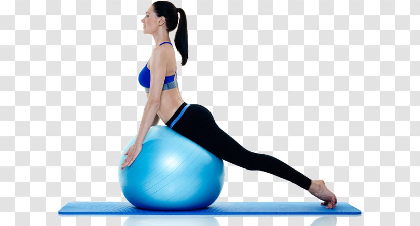 Pilates Exercise Balls Physical Fitness CrossFit - Tree - Bodymindlife Yoga Transparent PNG
