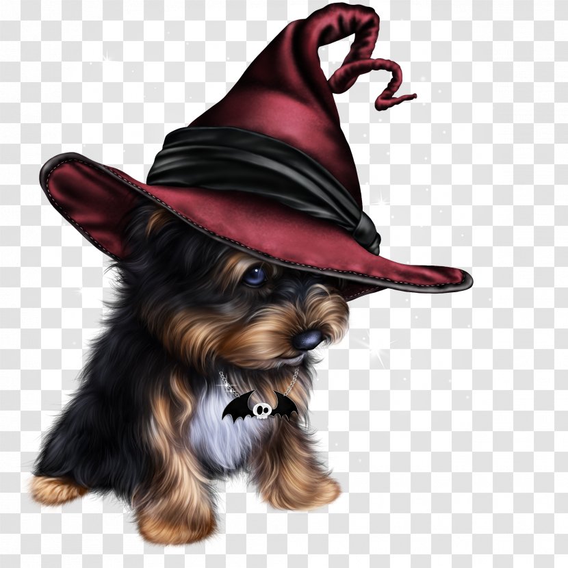 Puppy Yorkshire Terrier Canidae Dog Breed Pet - Crane Transparent PNG