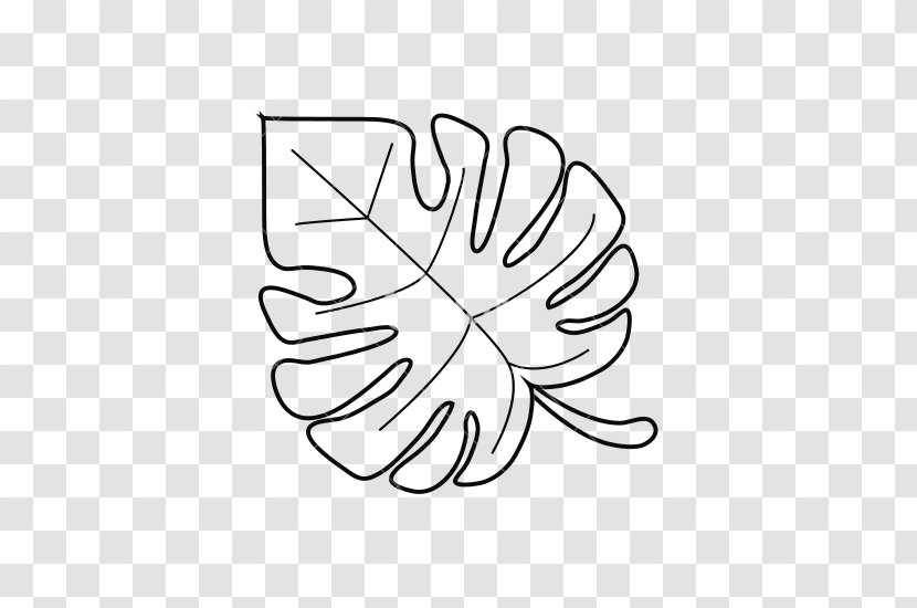 Leaf Swiss Cheese Plant Line - Art - Monstera Transparent PNG