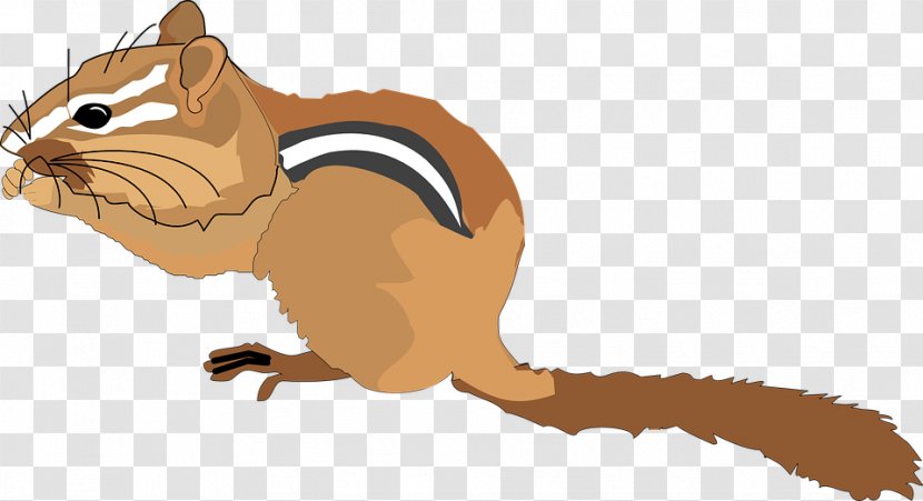 Chipmunk Squirrel Clip Art - Wildlife Transparent PNG