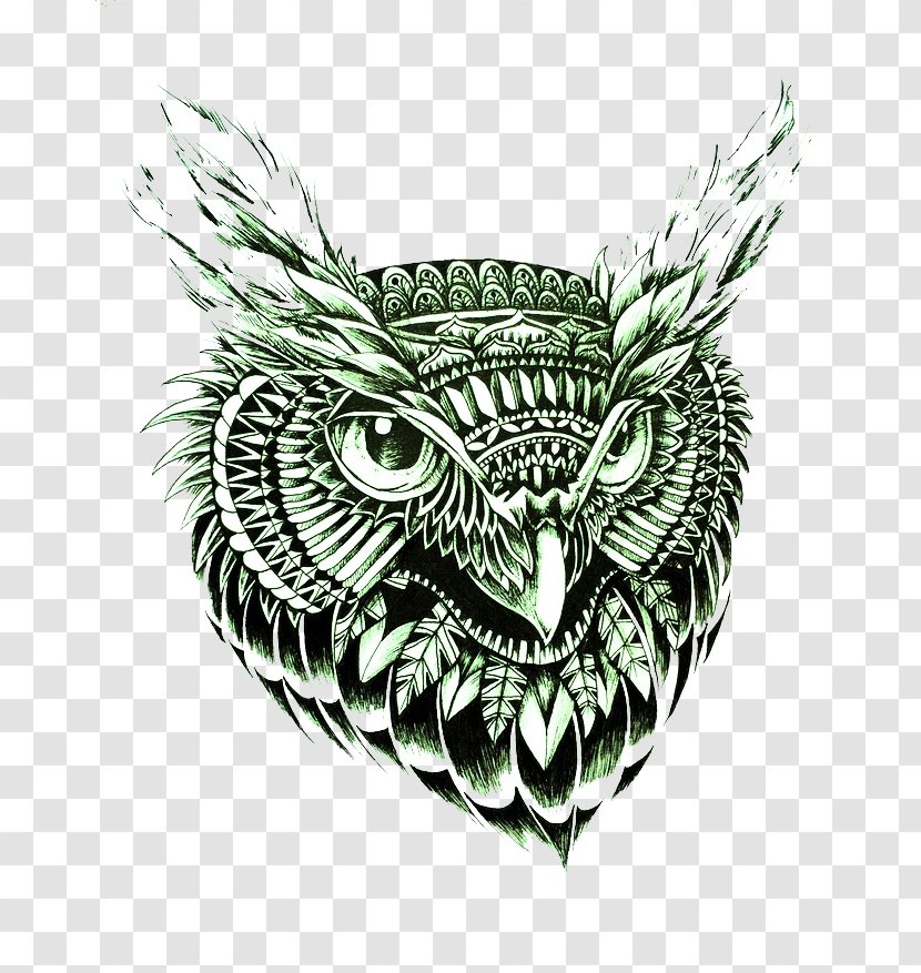 Owl Black And White Avatar - Cartoon - Green Transparent PNG