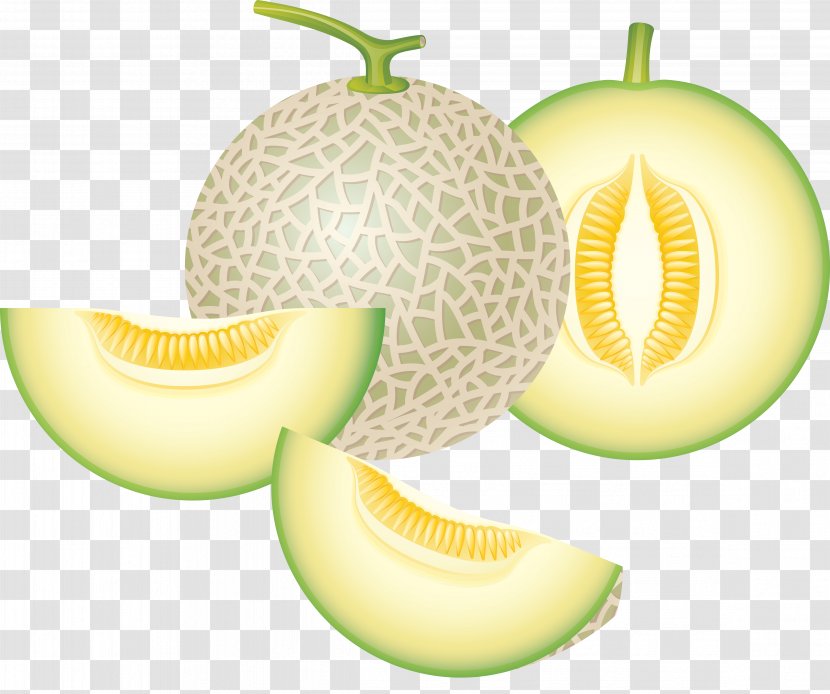 Cantaloupe Honeydew Watermelon Clip Art - Natural Foods - Melon Transparent PNG