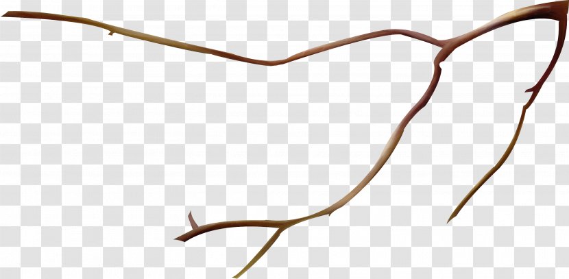Branch Twig Wood Tree - Simple Transparent PNG
