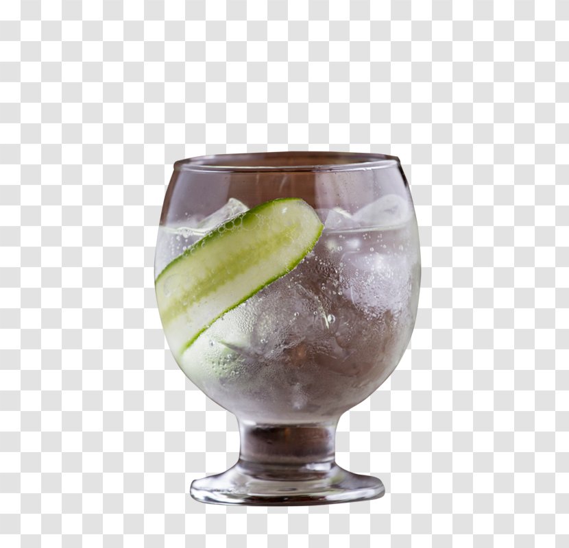 Gin And Tonic Cocktail Garnish Mint Julep Water Transparent PNG