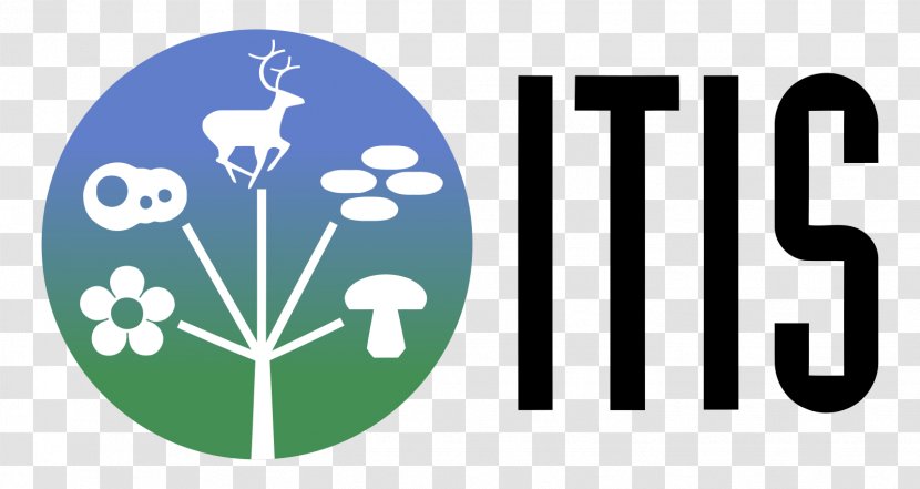Information System Logo ITIS Nutrition - Green - Energy Transparent PNG