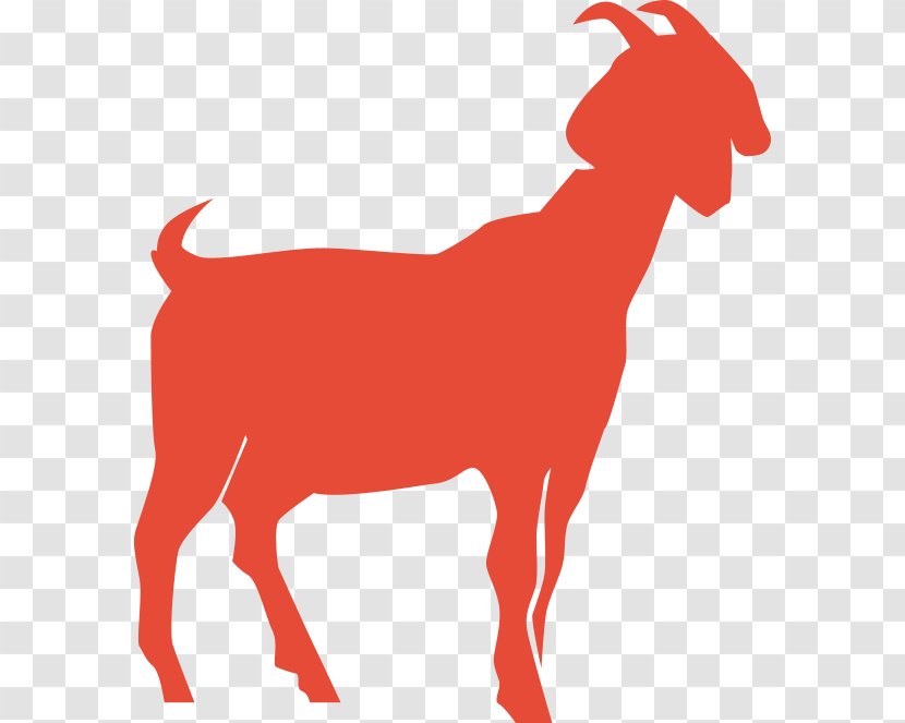 Goat Sheep Cattle Mammal Dog - Canidae Transparent PNG