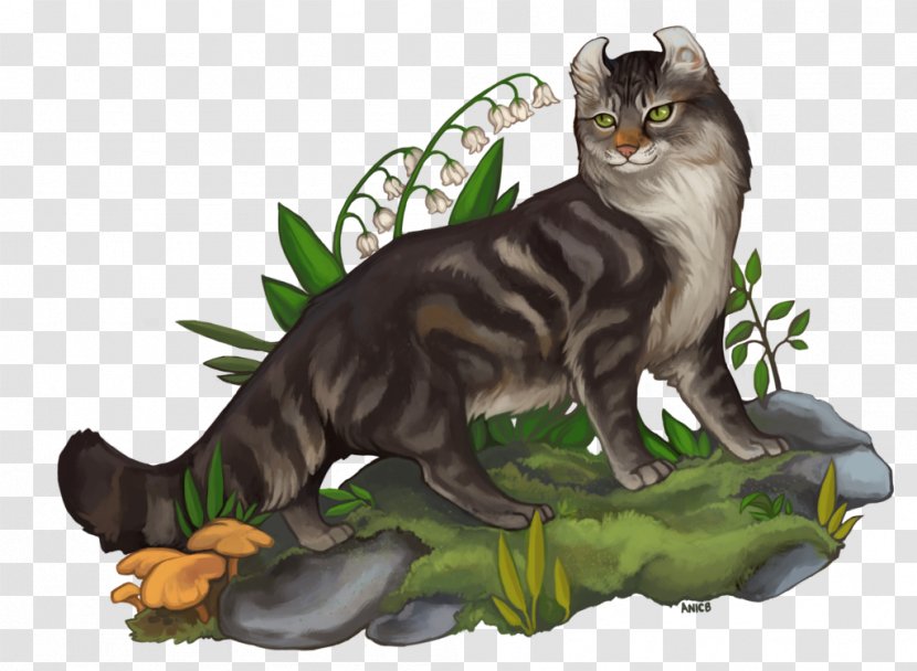 Whiskers Kitten Wildcat Tail - Wildlife Transparent PNG