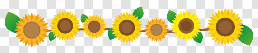 Sunflower Flower Line. - Common - Logo Transparent PNG