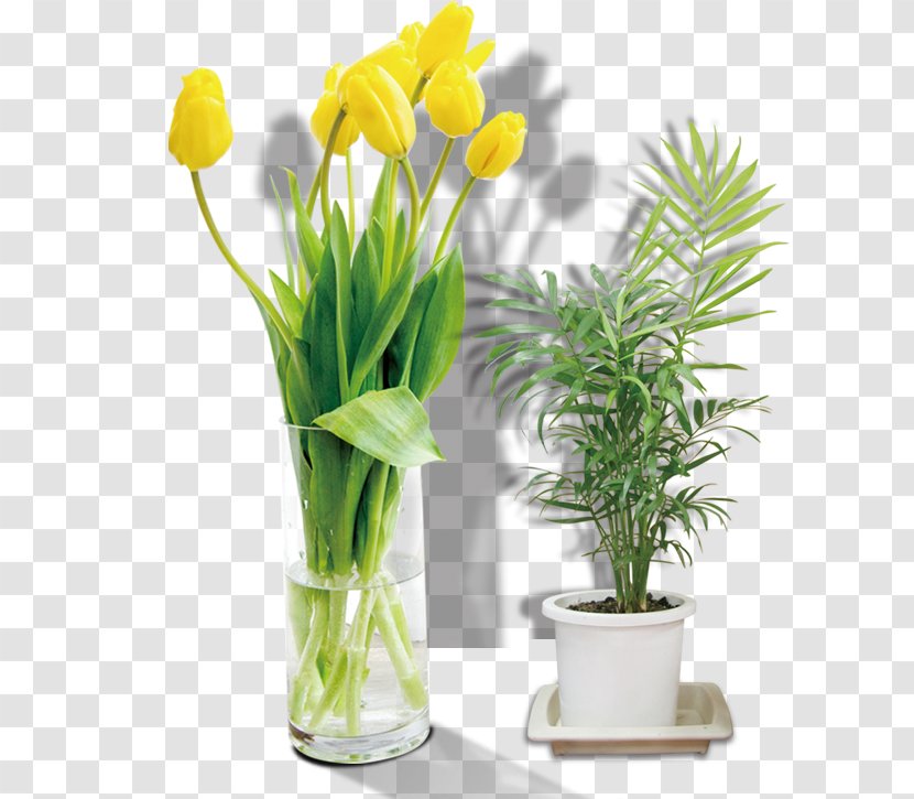 Flower Bouquet Tulip - Plant Transparent PNG