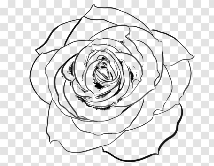 Line Art Garden Roses Drawing DeviantArt - Realistic Sketch Transparent PNG