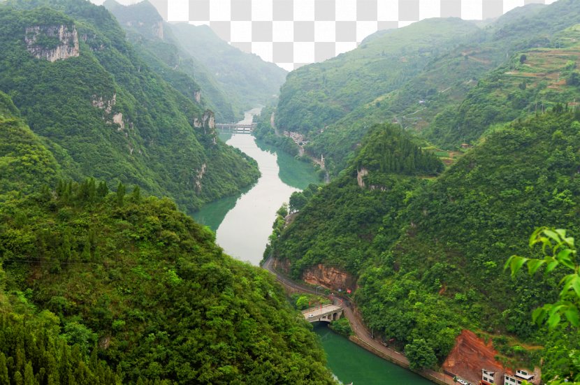 Zhenyuan Ancient Town Miaoxiang Hotel Mount Scenery Tourist Attraction Tourism - Forest Transparent PNG