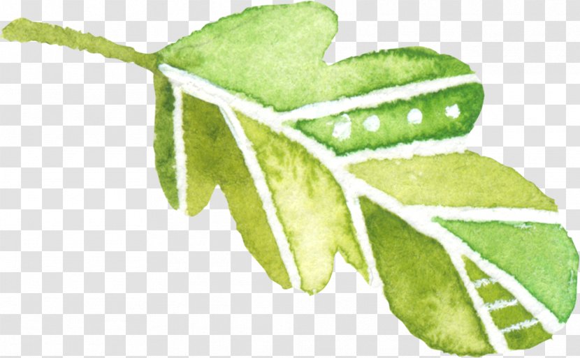 Leaf Watercolor Painting Green - Hand-painted Decoration Elements Transparent PNG