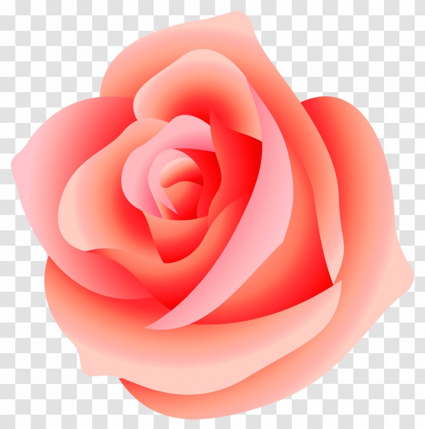 Rose Clip Art - Peach - Large Picture Transparent PNG