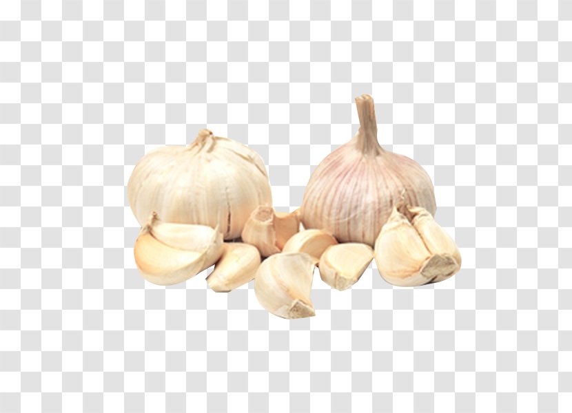 Elephant Garlic Yellow Onion Vegetable Shallot - Fruit - Crops Transparent PNG