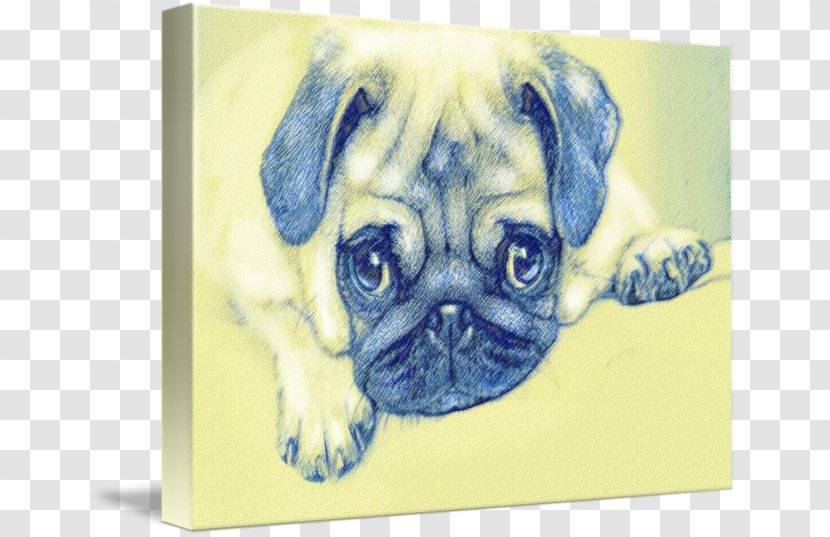 Pug Puppy Love Dog Breed Toy Transparent PNG