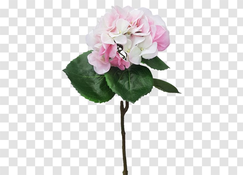 Cut Flowers Plant Hydrangea Centifolia Roses - Flower Bouquet Transparent PNG