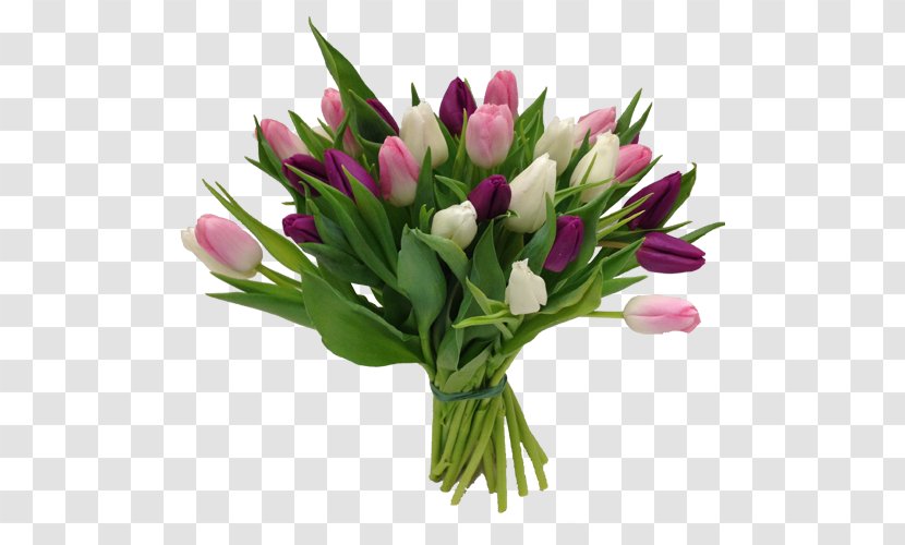 Tulip Olles Blommor AB Cut Flowers Flower Bouquet - Lily Family Transparent PNG