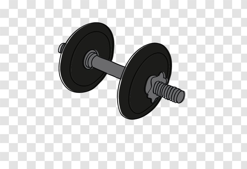Fitness Centre Bodybuilding Physical - Barbell - Creative Dumbbell Transparent PNG