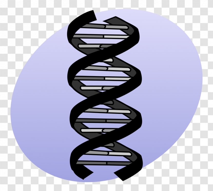 DNA Sequencing Genetics Mutation - Gene Transparent PNG