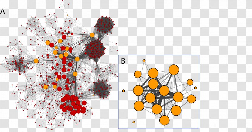 Cytoscape Social Network Analysis Computer Visualization - Floral Design Transparent PNG