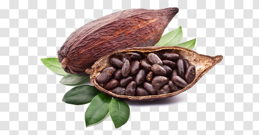 Chocolate Bar Cocoa Bean Solids Liquor - Organic Transparent PNG