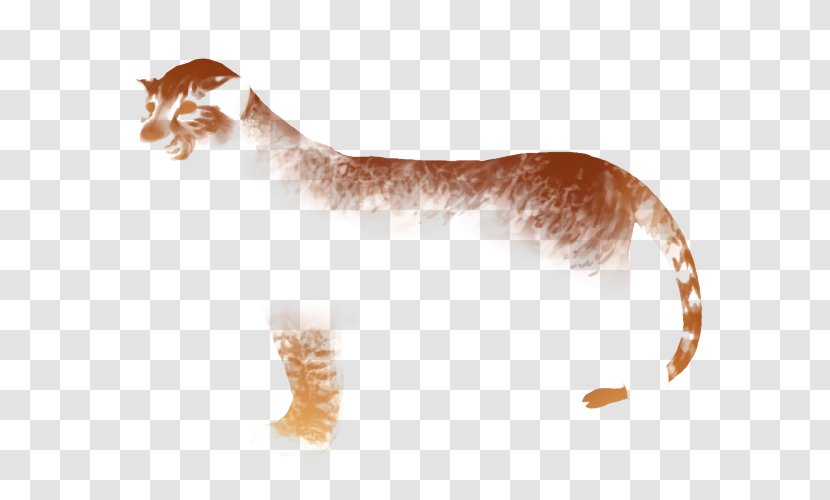 Whiskers Kitten Cat Paw Mammal - Ear Transparent PNG
