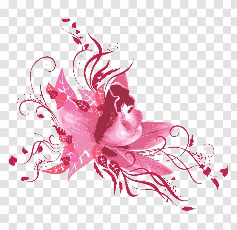 Illustration - Pink - Lily Transparent PNG