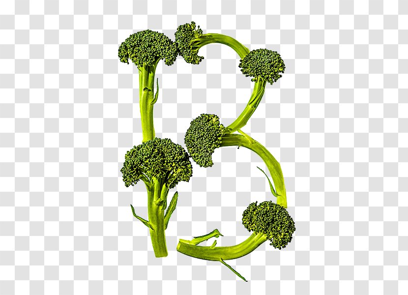 Broccoli Food Vegetable Alphabet Cauliflower - B Transparent PNG