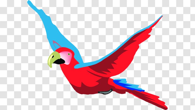 Parrot Bird Macaw Clip Art - Feather Transparent PNG