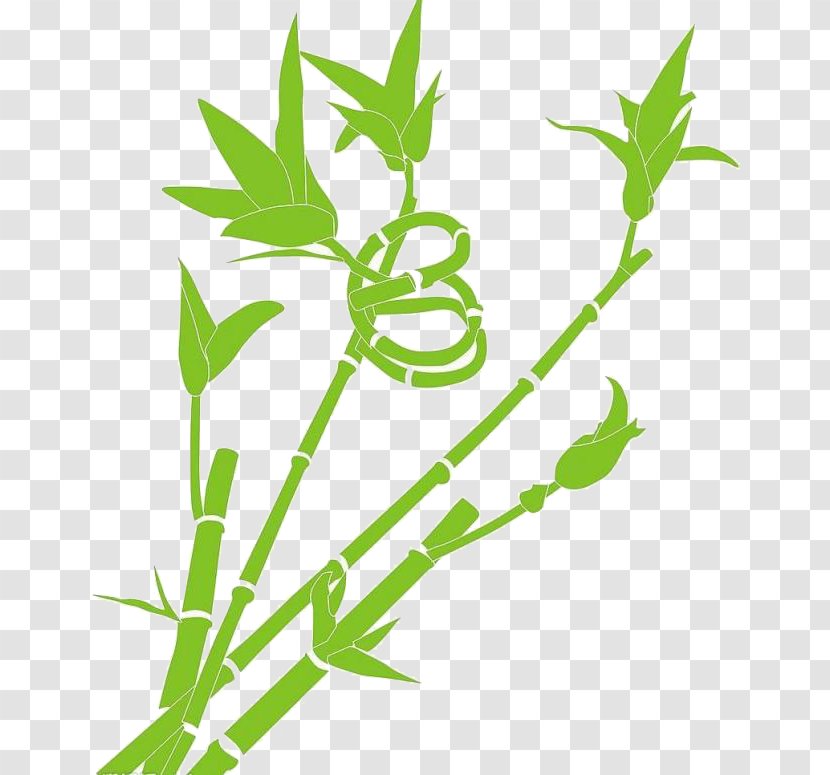 Lucky Bamboo - Green - Cartoon Material Transparent PNG