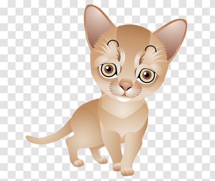 Kitten Whiskers Burmese Cat Tabby Domestic Short-haired - Like Mammal Transparent PNG