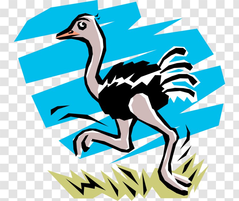 Common Ostrich Clip Art Emu Cartoon Ostriches - Ratite - Border Transparent PNG