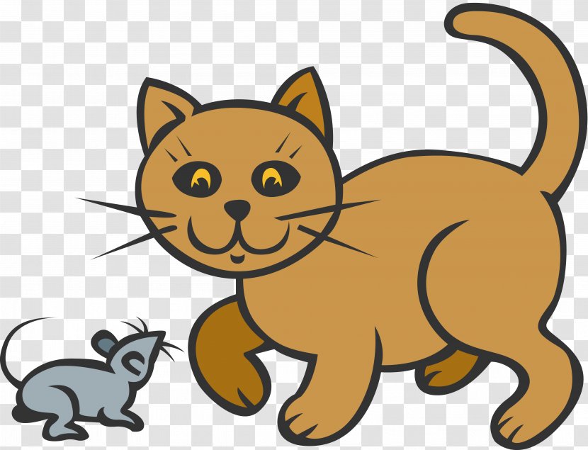 Cat Kitten Animal Mammal Carnivora - Small To Medium Sized Cats Transparent PNG
