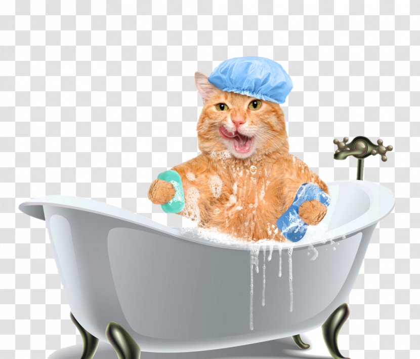 Cat Dog Kitten Shampoo Bathing - Plumbing Fixture - Bath Tub Transparent PNG
